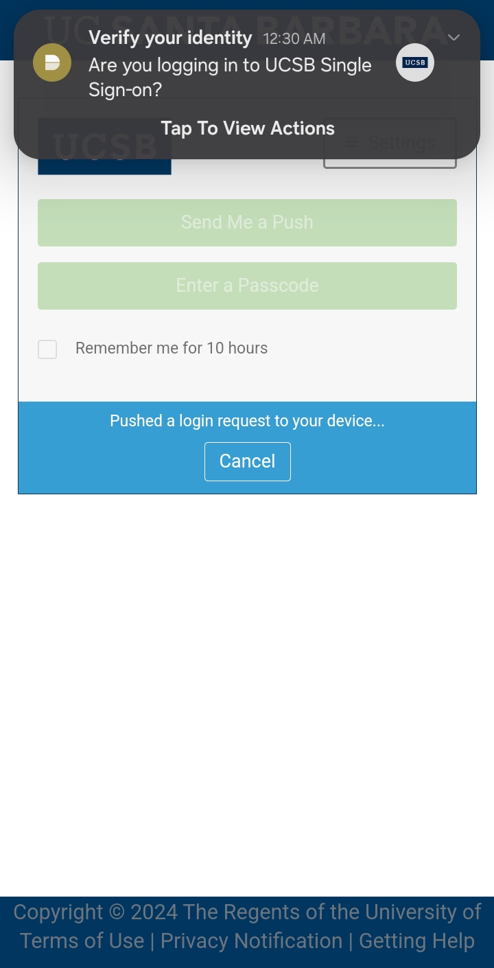 UCSB NetID credentials have been authenticated - Screenshot - Image