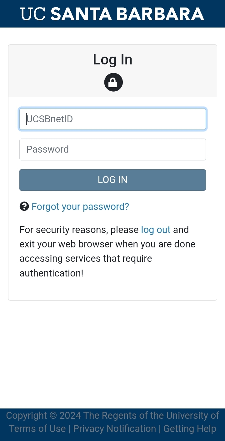 mobile VPN SSO login page