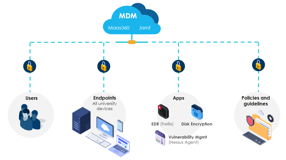 Infographic displaying how a MDM tool acts as a management capability for devices